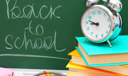 Wednesday 6 September: 12pm-12.45pm: Back to school! tips to balance spreadsheets with school satchels!