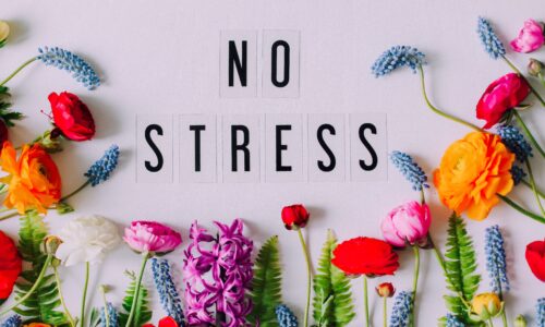 Tuesday 25 April: 12pm -12.45pm: Stress Awareness month: Stress reducing tips!